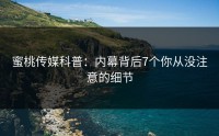 蜜桃传媒科普：内幕背后7个你从没注意的细节