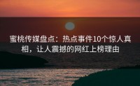 蜜桃传媒盘点：热点事件10个惊人真相，让人震撼的网红上榜理由