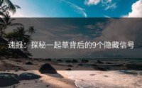 速报：探秘一起草背后的9个隐藏信号