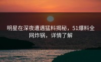 明星在深夜遭遇猛料揭秘，51爆料全网炸锅，详情了解