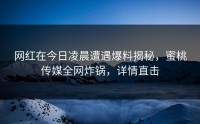 网红在今日凌晨遭遇爆料揭秘，蜜桃传媒全网炸锅，详情直击